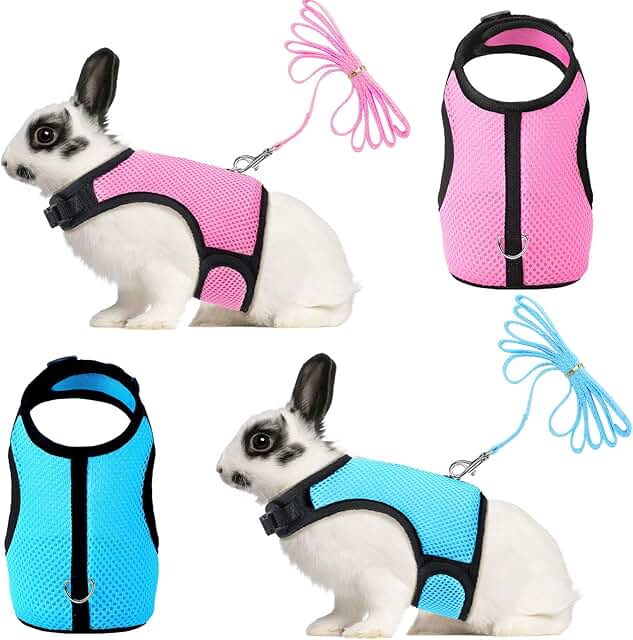rabbit harness and leash