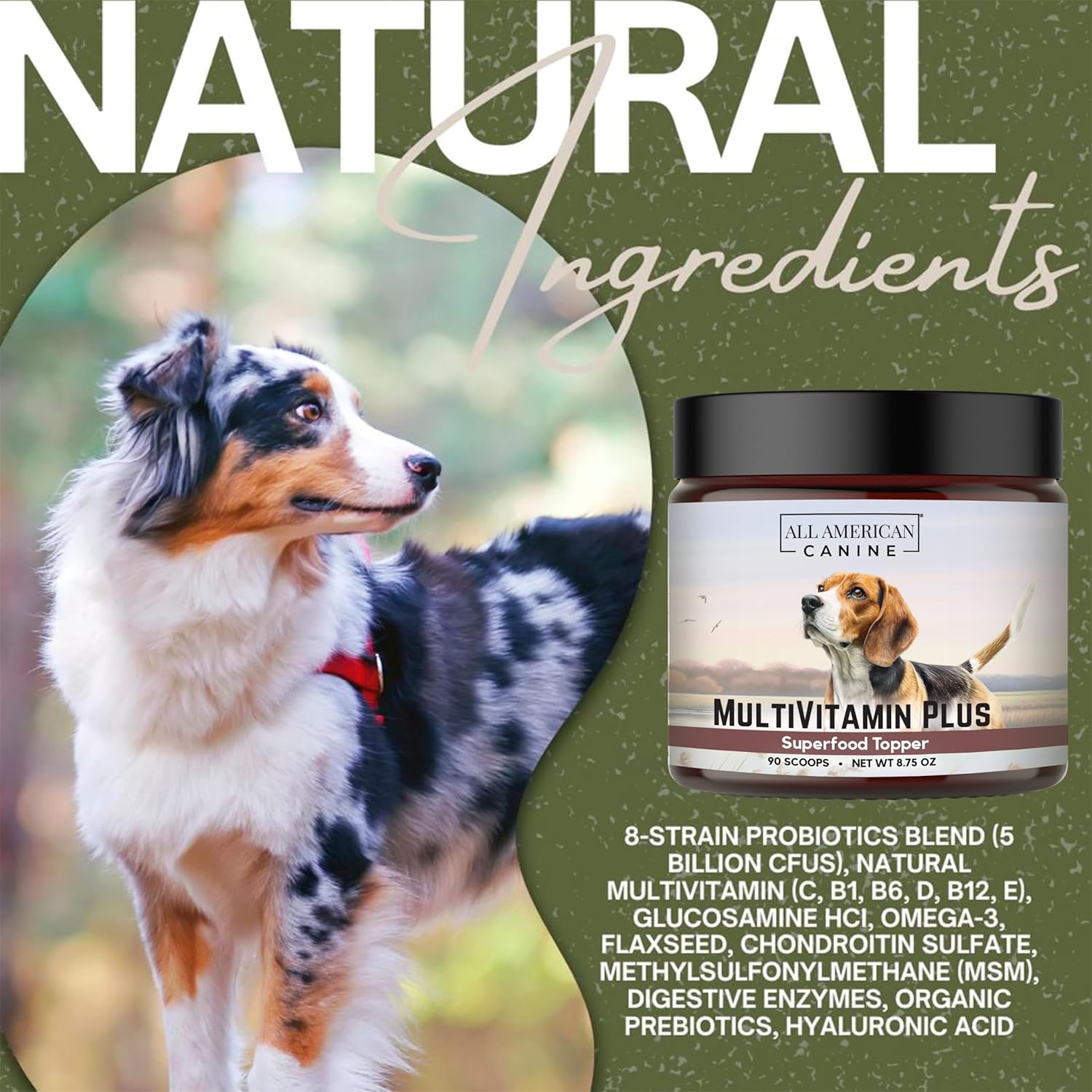 All American Canine Multivitamin Powder - Glucosamine & Chondroitin for Joint Health, Digestive Enzymes & Probiotics for Immunity, Skin & Coat, Beef Flavor 90 Servings