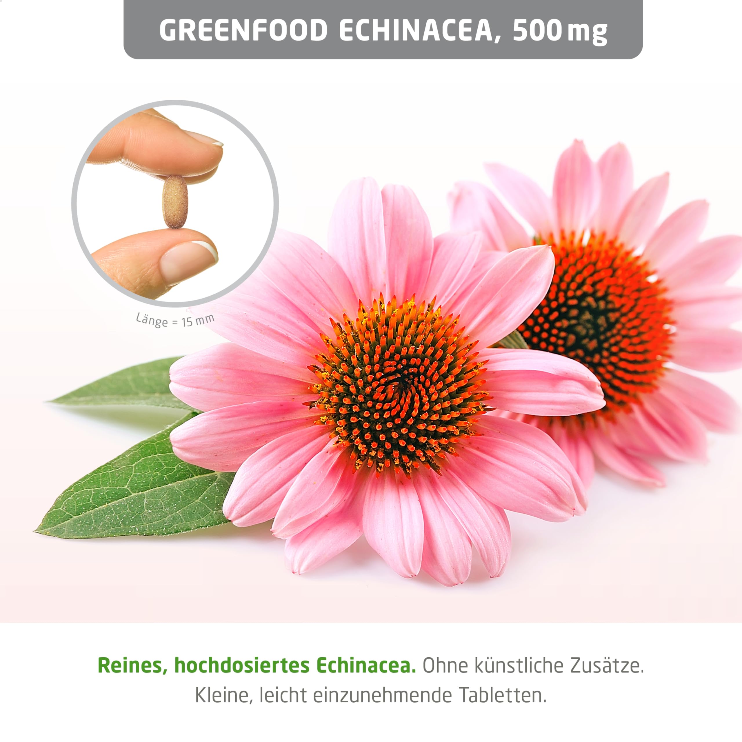 Echinacea, hochdosiert, 500mg - 180 Tabletten, vegan. Pflanzlicher Begleiter in der Grippezeit. Reines Naturprodukt. OHNE künstliche Zusätze - laborgeprüft. Von Greenfood.