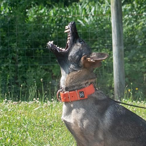 Miniatura 3 de SparkDog Collar de trabajo para perro, collar de perro de 2 pulgadas de ancho, correas de cinturón de seguridad de poliéster de 4 capas, accesorios