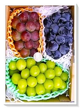 3品、ぶどう柄装飾付き籠3品せっと 3品、ぶどう柄装飾付き籠3品せっと 楽天市場】藍調型染