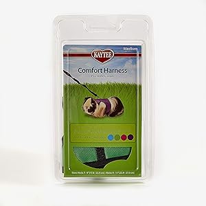 81CCQ97M1wL. AC SX300