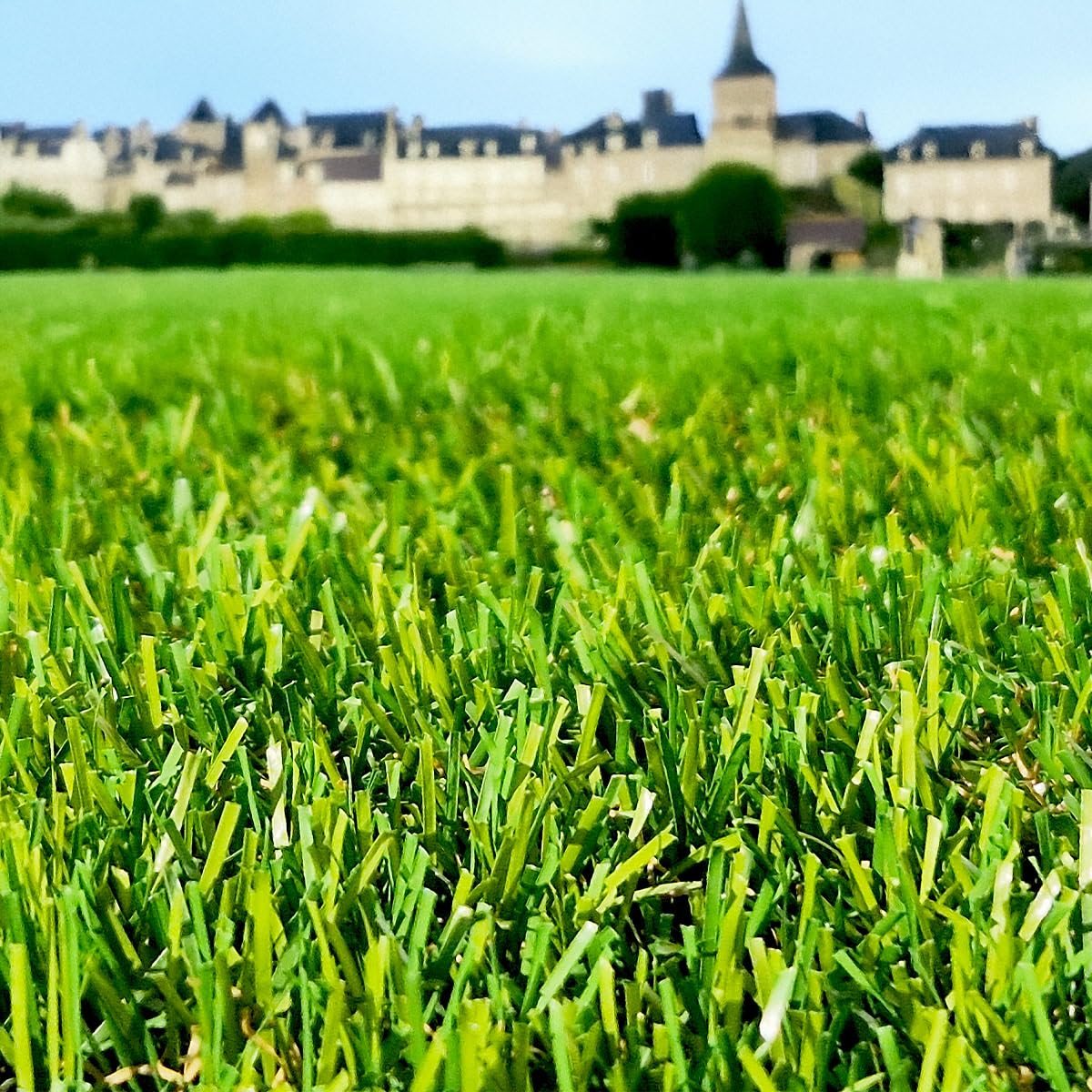 Gazon Synthétique 35mm : 2m de large x 6m de long soit 12M² RÉSISTANT & ULTRA DENSE ! LE GAZON ADAPTÉ À VOS BESOINS !