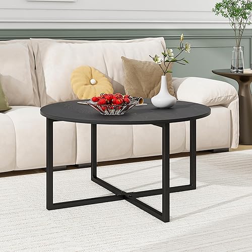 HOMERECOMMEND Round Coffee Table Nesting Tables for Living Room Tea Desk with Black Metal Legs Tea Table Balcony End Sofa Table Study,Black