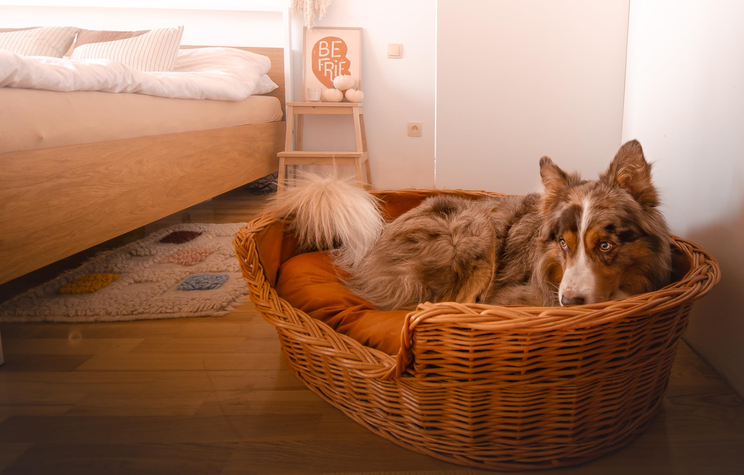 e-wicker24 Panier en Osier, Corbeille, Niche en Osier Naturel (100 cm, Naturel sans Coussin)