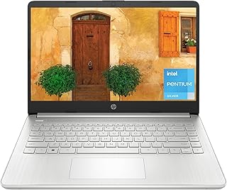 HP Laptop 14, Intel Pentium Silver N6000, Intel UHD Graphics, 4 GB DDR4-2933 MHz RAM (1 X 4 GB), (14-dq3030ca Natural Silver)