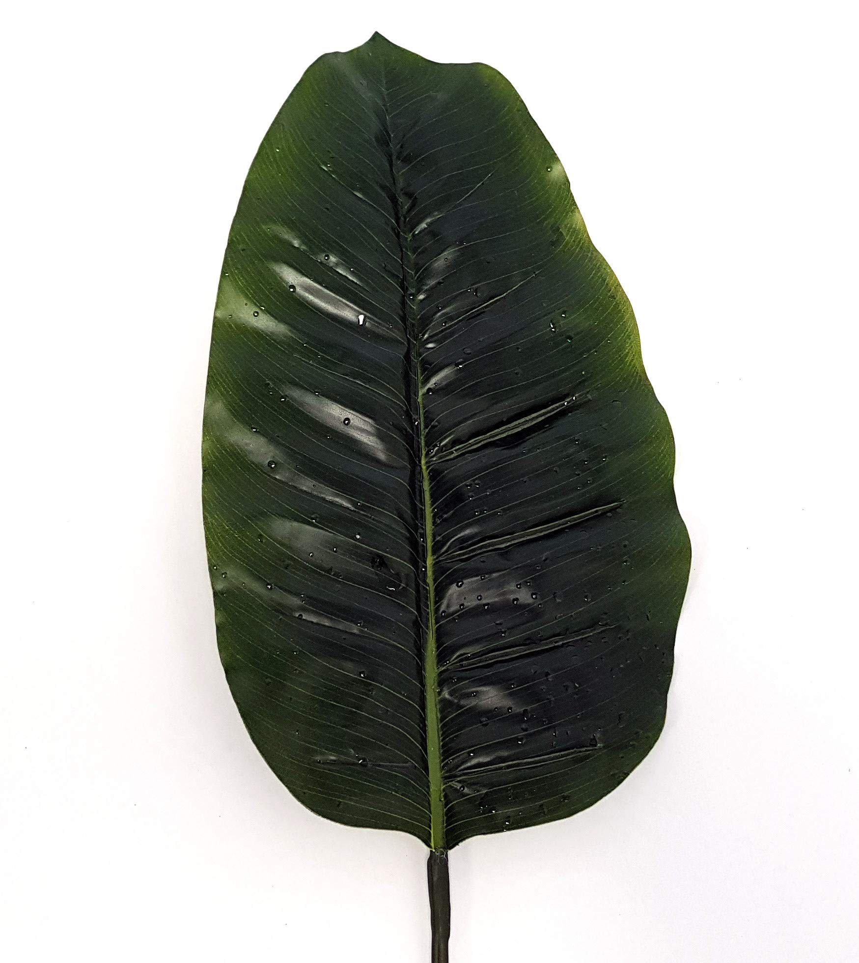 CB ImportsArtificial Raindrop Banana Leaf, Green