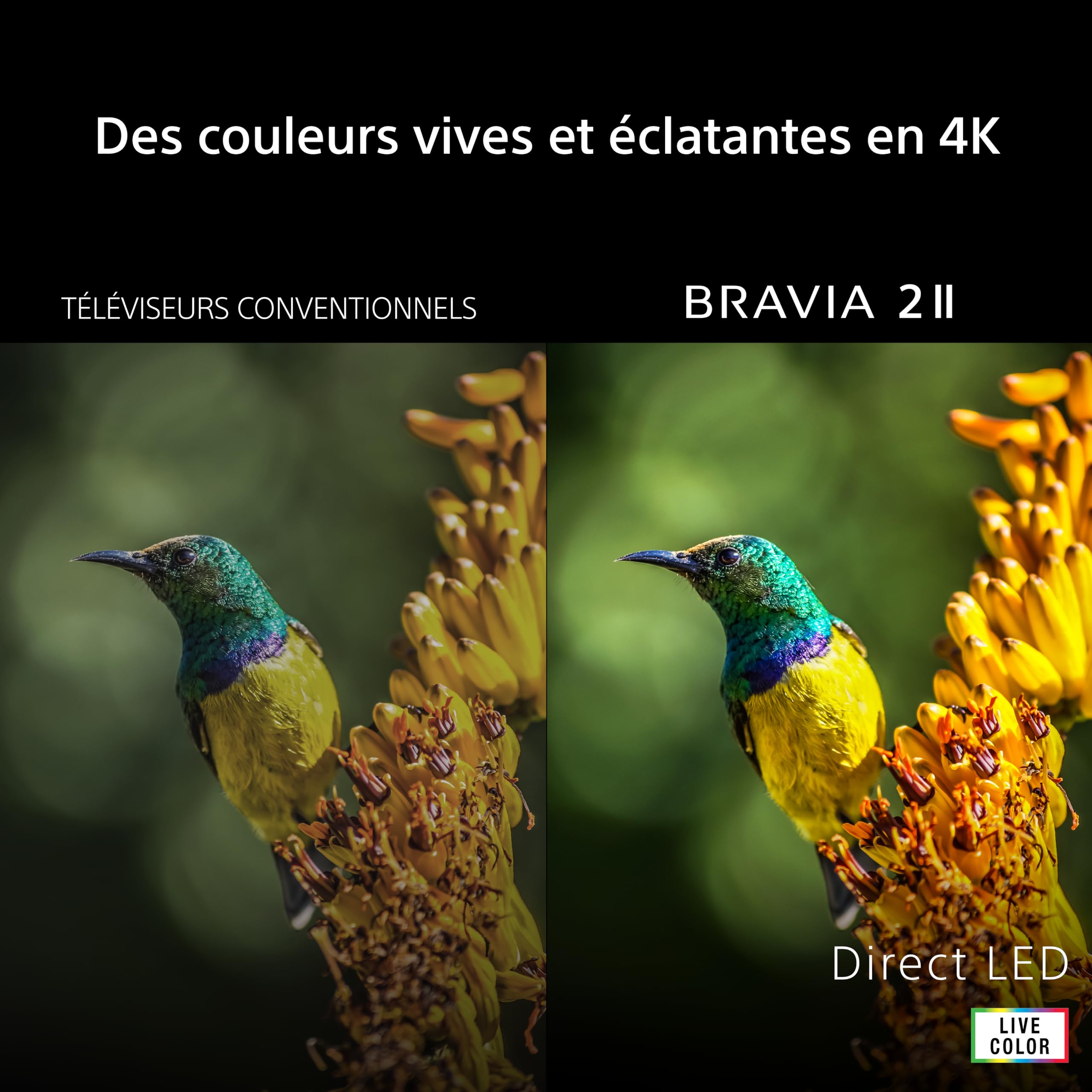 Sony BRAVIA 2ⅡTV 55 Pouces; Smart TV 4K (Google TV); processeur X1; Conversion ascendante 4K; Compatible Dolby Atmos et DTS:X; Compatible PS5; modèle 55S25M2; année 2026