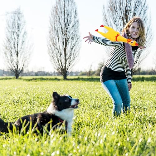Miniatura 3 de Sratte Paquete de 16 Juguetes de Pollo Gritón a Granel, Juguetes Grandes de Pollo de Goma Chirriante para Mascotas, Regalos de Masticación para