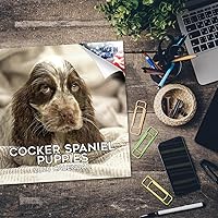 Vista 1108 de Razas de Perros 2017