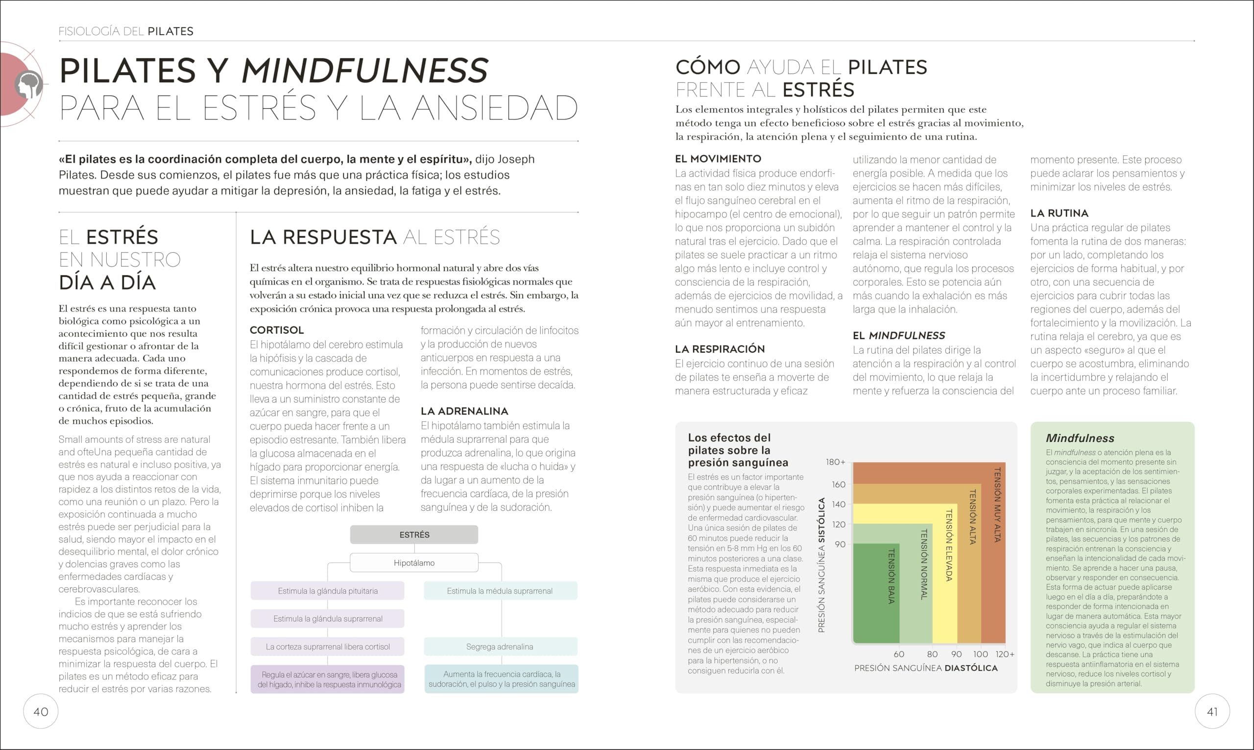 Pilates: Mejora tu técnica, evita lesiones, perfecciona tu entrenamiento (Deportes DK)