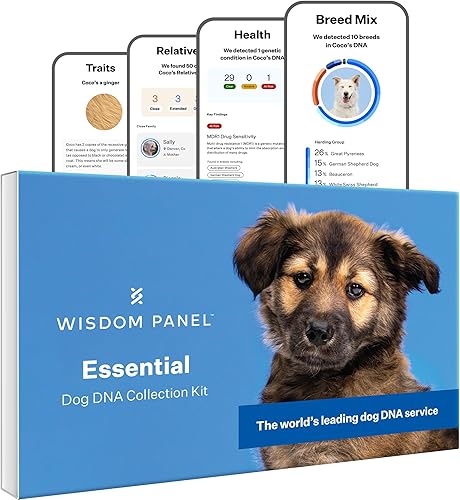 Wisdom Panel Essential kit de prueba de ADN para perros más preciso para identificación de raza y ascendencia Más de 25 condiciones genéticas de