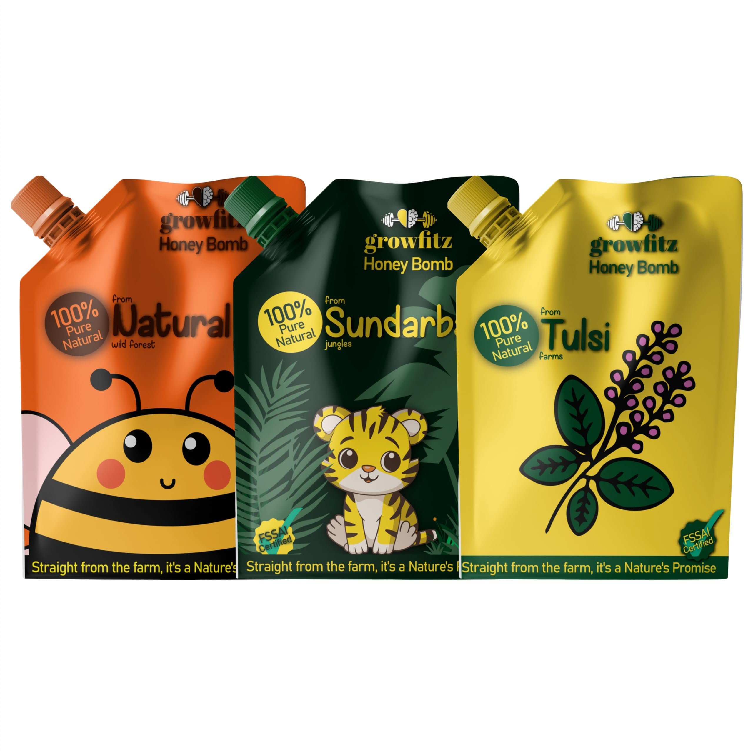 Growfitz 100% Pure Honey Pouch100g x 3 | Tulsi, Sundarban, Natural Wild Forest Flavour | Immunity Booster | No Sugar Added, No Fat