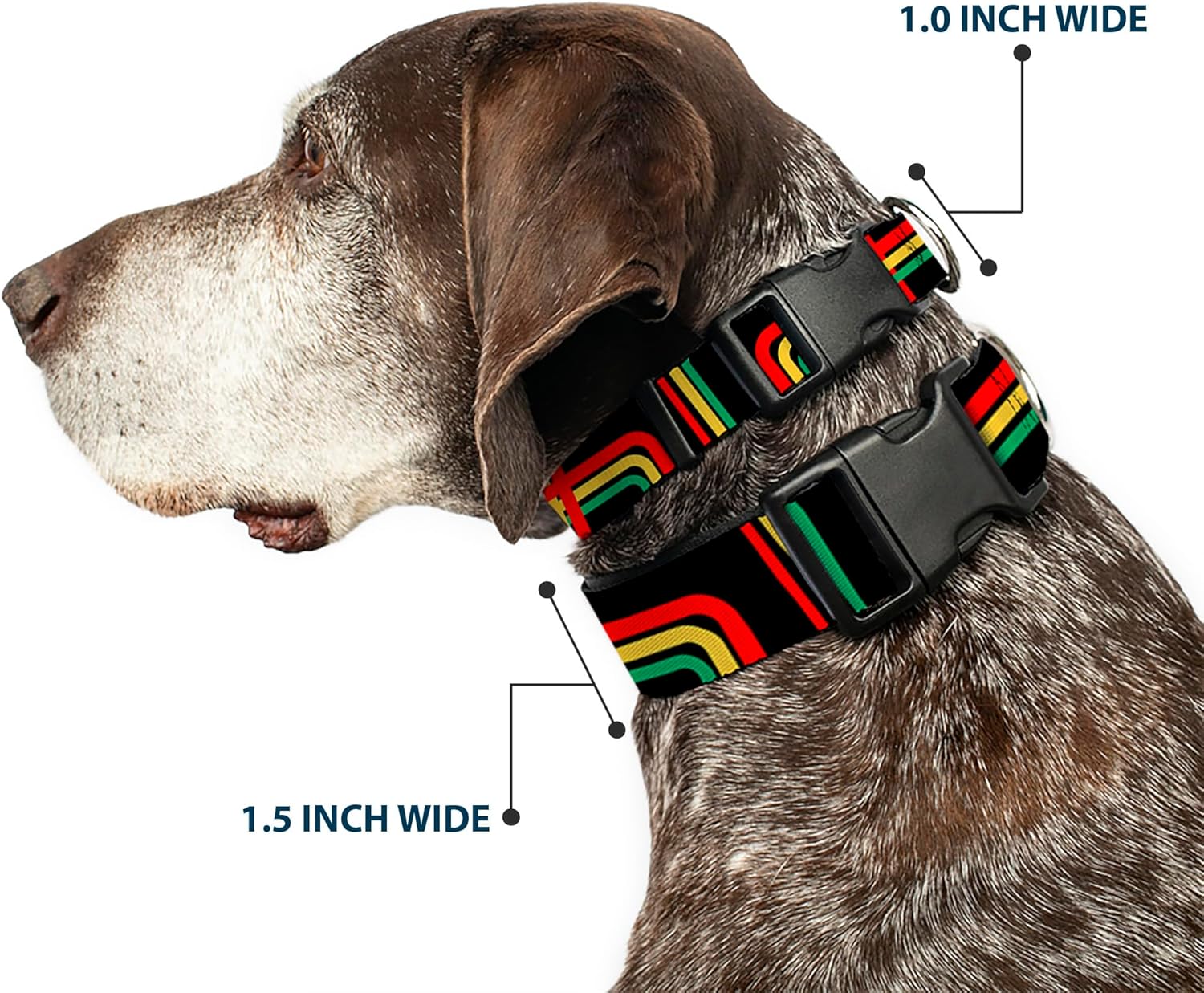 Buckle-Down 16-23" Maze Lines Black/Rasta Plastic Clip Collar, Wide Medium