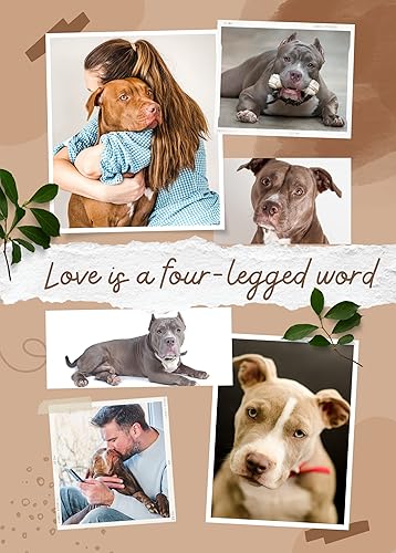 Miniatura 7 de InnoBeta Regalos Pitbull para los amantes de Pitties, manta de franela Pitbull para perro Pitt, mamá papá, 50 x 65 pulgadas, perfecta para