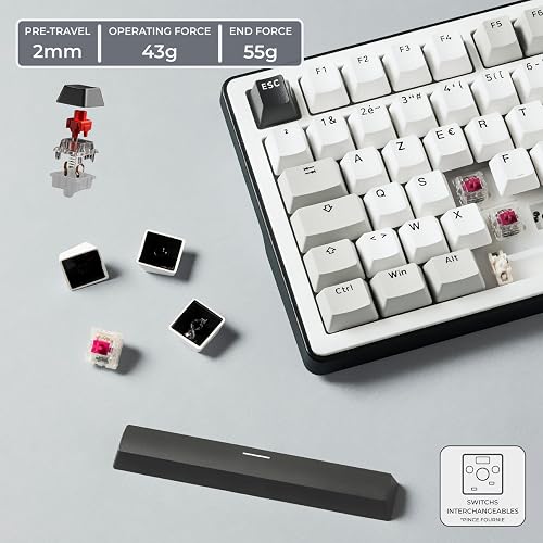 The G-Lab - KEYZ ELITE 300 WG - Wireless Gaming Keyboard - AZERTY FRENCH Layout - Hot-Swappable Mechanical Keyboard with Pre-Lubed Switches, 5-Layer Gasket, Tri-Mode 2.4G/BT/Wired, RGB&Macros, Win/Mac - 5