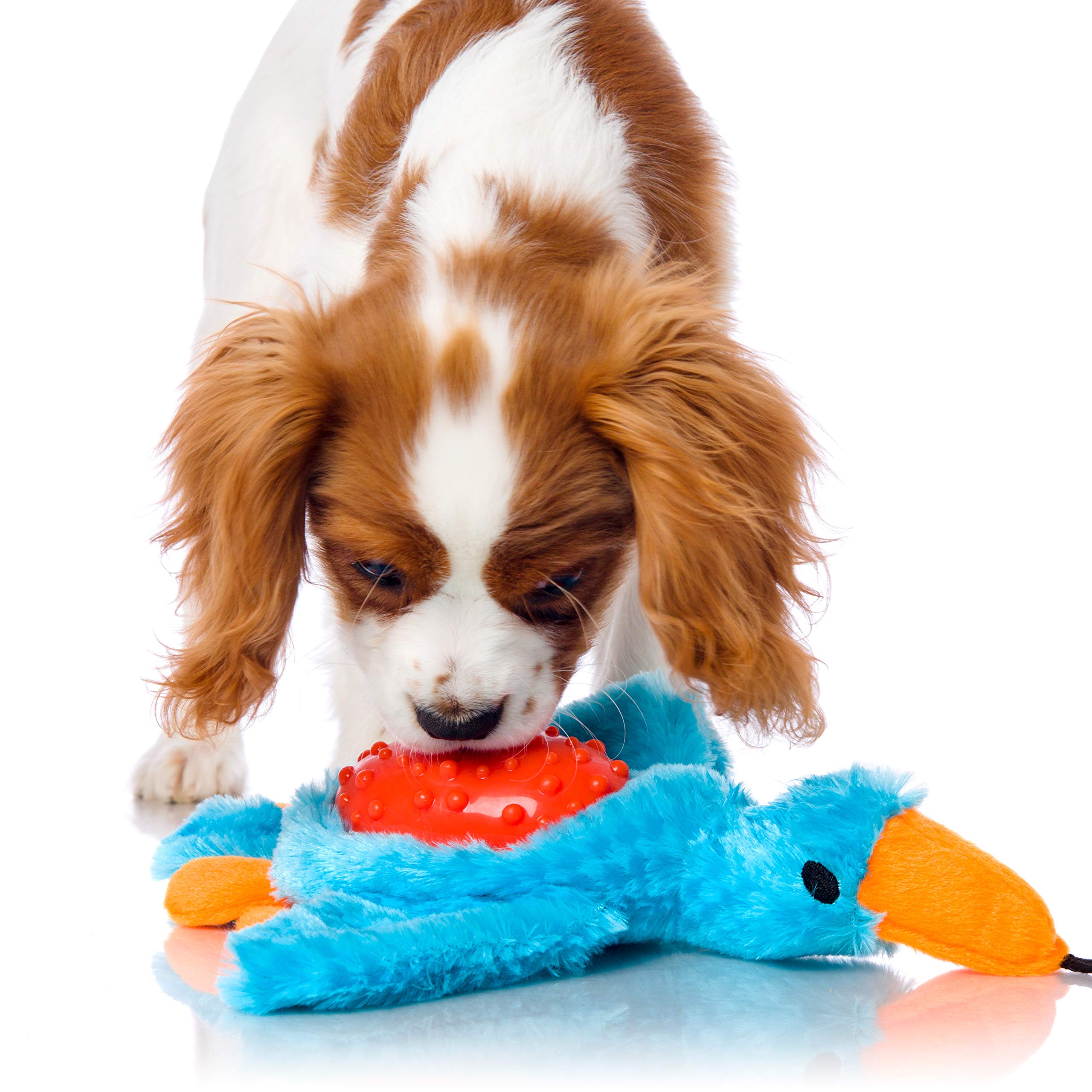 Hartz Squeak And Treat Duck Treat Dispensing Dog Toy