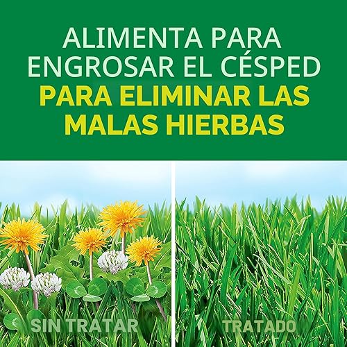 Miniatura 2 de Scotts Turf Builder Weed and Feed5, Fertilizante y alimento para césped, matamalas hierbas plus, controla dientes de león y trébol, 4,000 pies