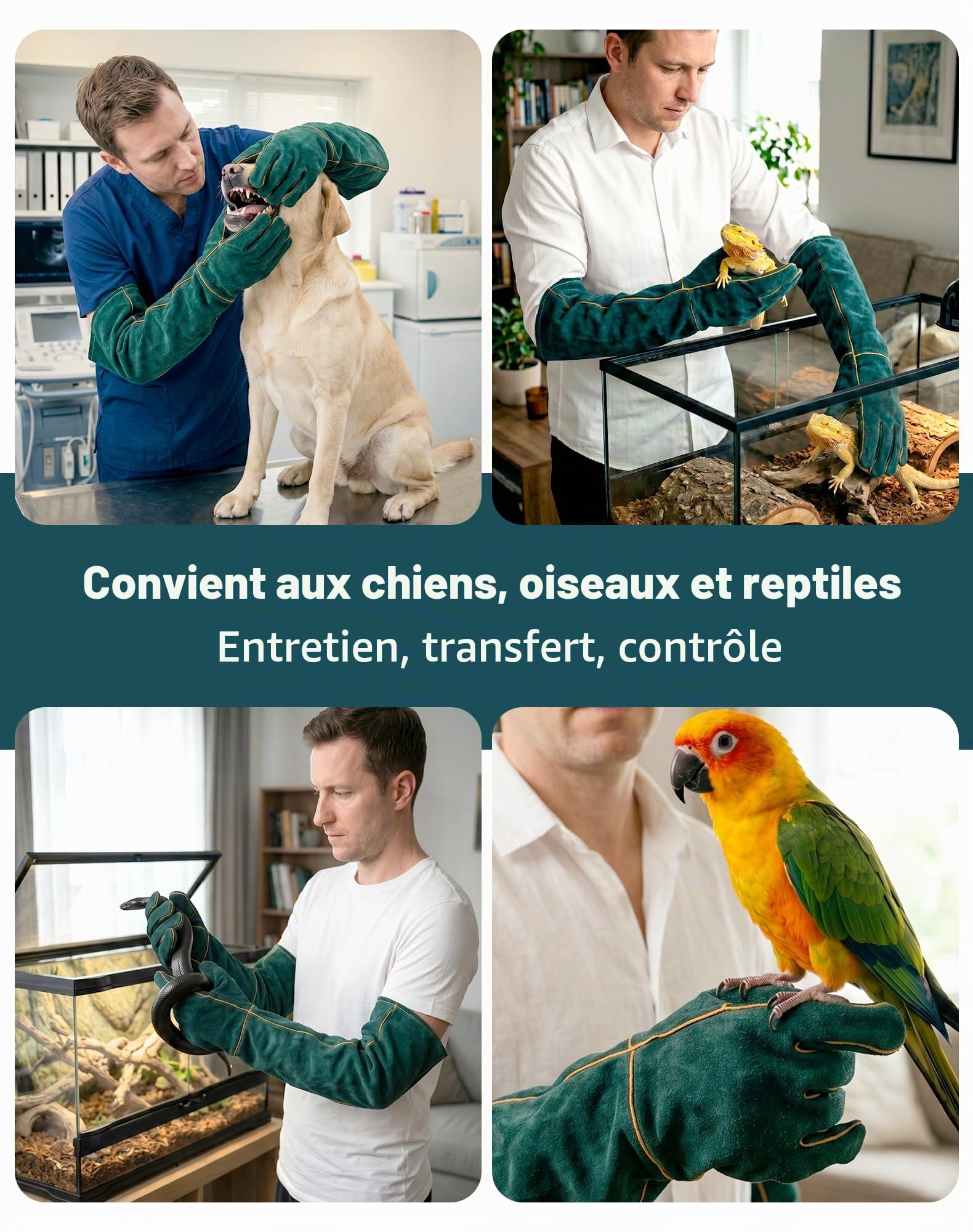 Gants Anti-Morsure 60 cm Pour Chat et Chien, Gants de Protection Anti-Griffures Avec Protection Complète des Bras, Gants Épais en Cuir Résistant Pour Manipulation de Chats, Chiens et Reptiles