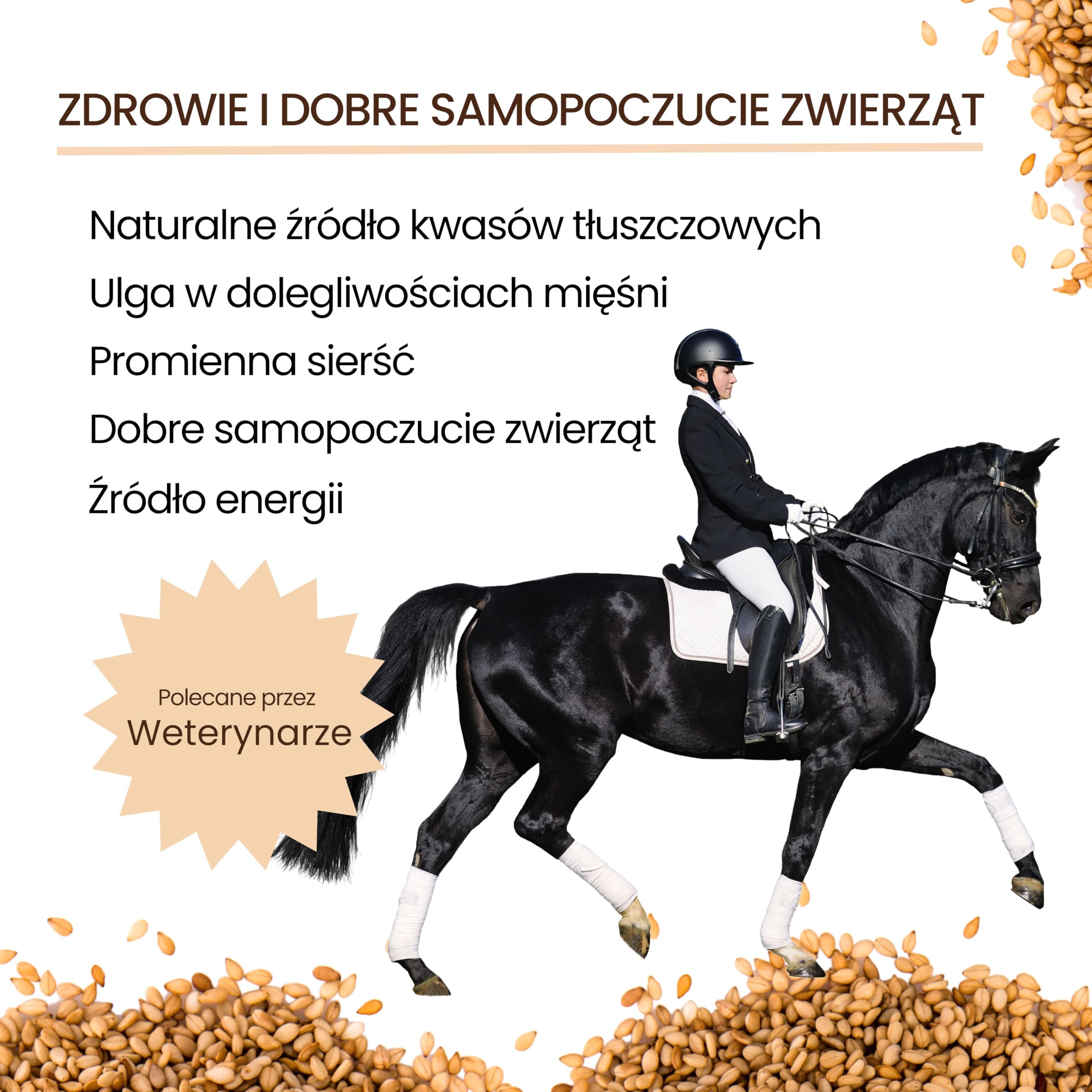 bleu & marine Bretania - Naturalny Olej Lniany dla Konie i Psy | Wspomaga Trawienie | Zapewnia Błyszczące Futro | Zrównoważone Karmienie | Przeciwzapalne Właściwości, 5000 ml