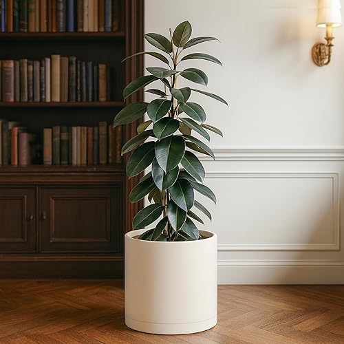 Miniatura 65 de D'vine Dev Macetas de plástico de 10 pulgadas para macetas de plantas con agujero de drenaje y platillos sin costuras, color negro, 74-X-B-2 Mate