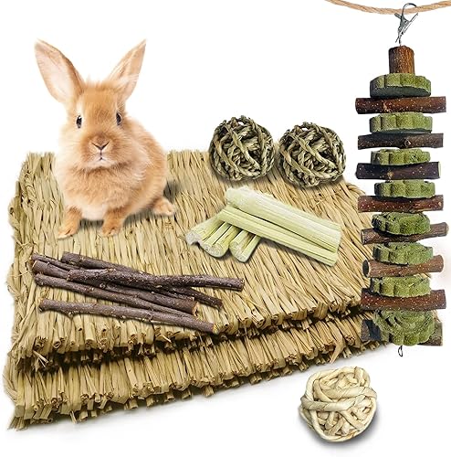 kathson Alfombrilla de hierba de conejo, juguetes masticables para dientes, cama tejida natural, juguete de paly, animales pequeños, juguetes para
