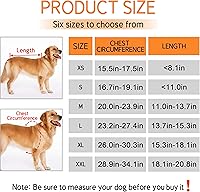 Vista 5 de Soporte de espalda para perros para perros, soporte de cadera para mascotas, soporte de espalda para perros con IVDD, recuperación y rehabilitación