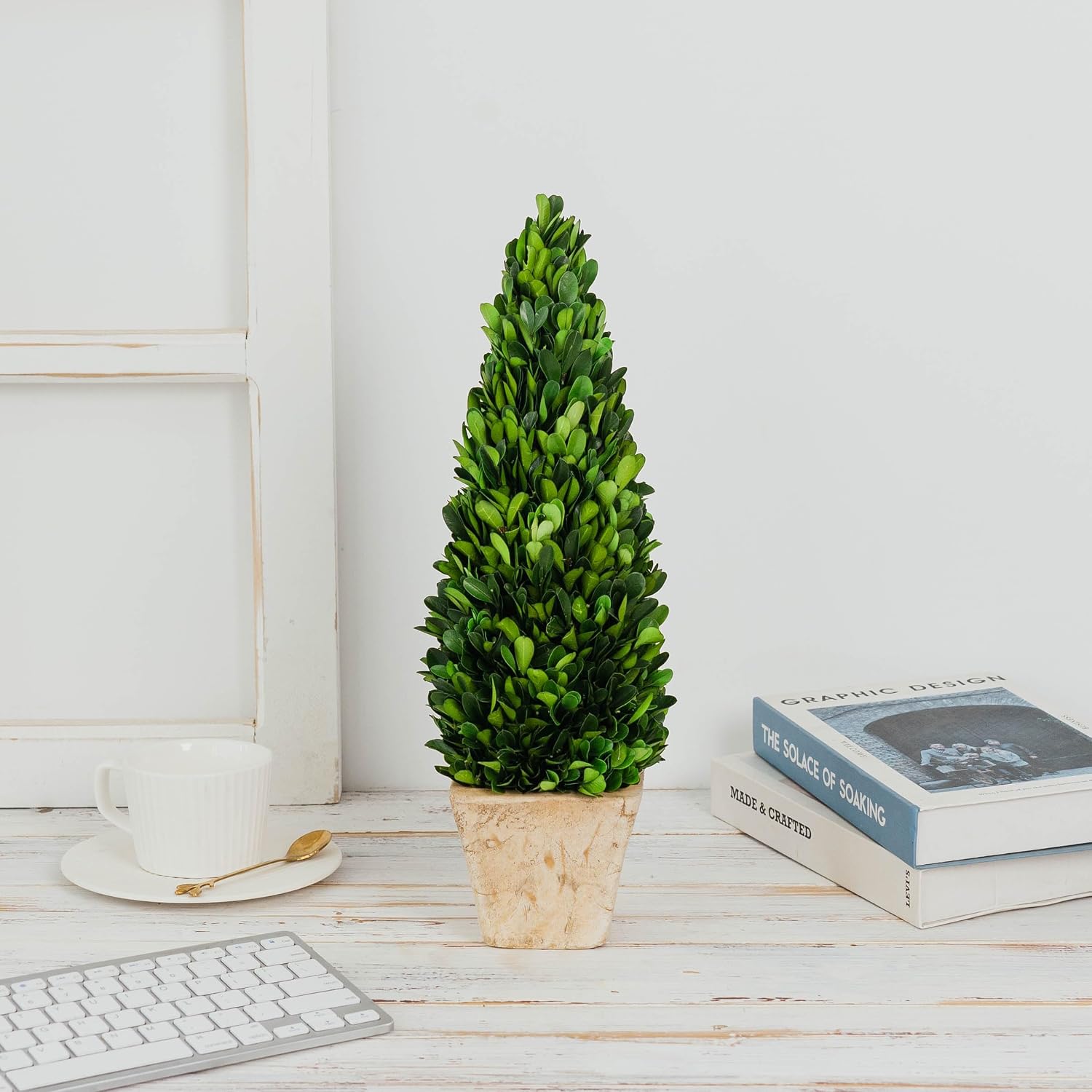 Preserved Boxwood Cone Topiary in Planter Home Decor Farmstyle Natural Green Indoor Decor(16 inches high)