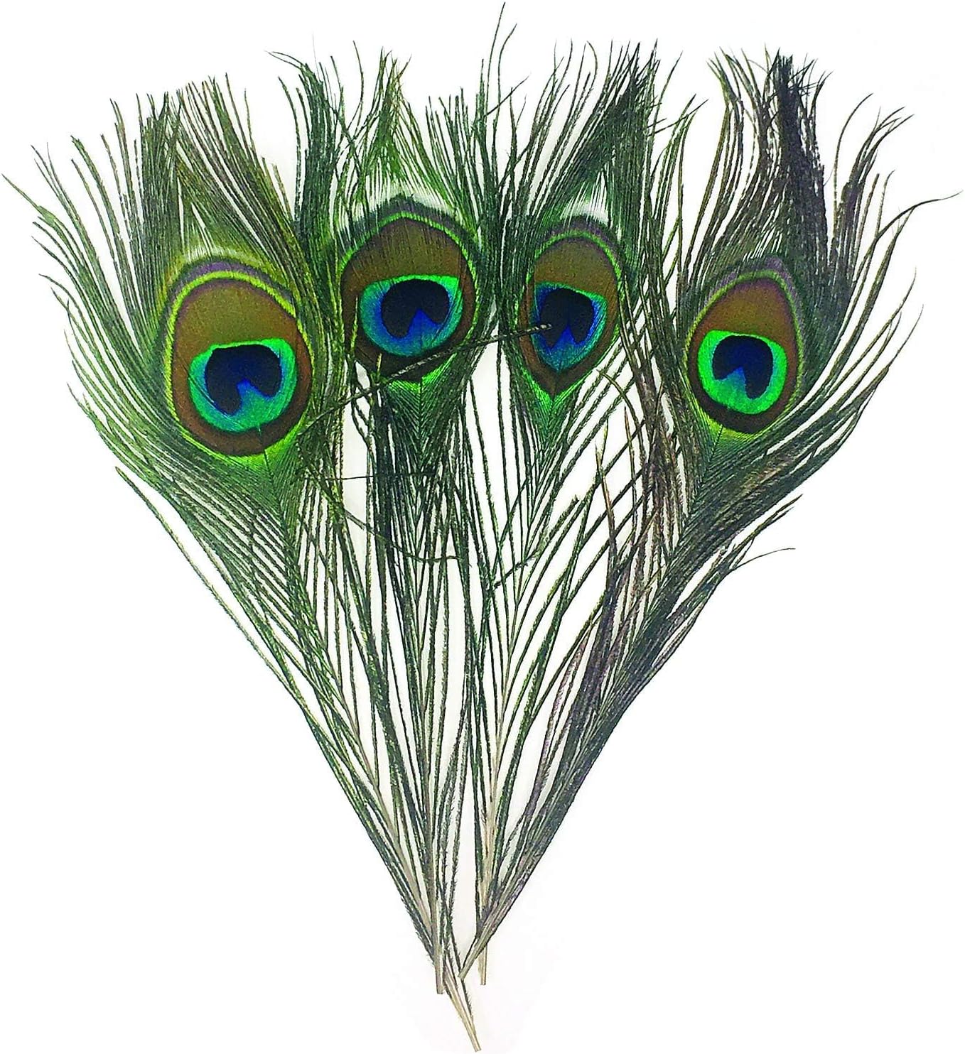 Peacock Eye Feathers for Fly Tying or Tying Flies. 4 Feather per Pack