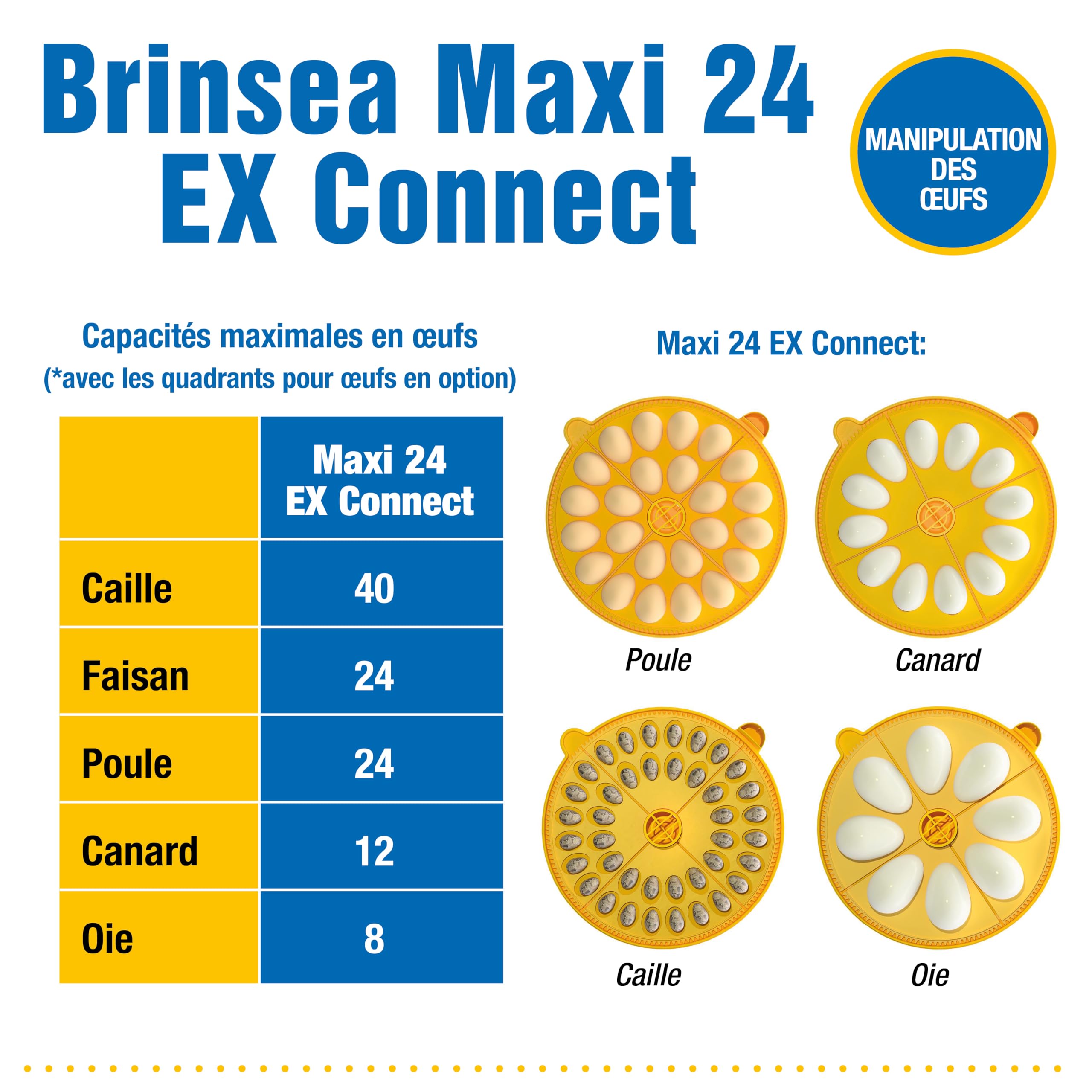 Incubadora Brinsea Maxi 24 EX Connect – Incubadora para 24 huevos de gallina con control completo mediante aplicación móvil.