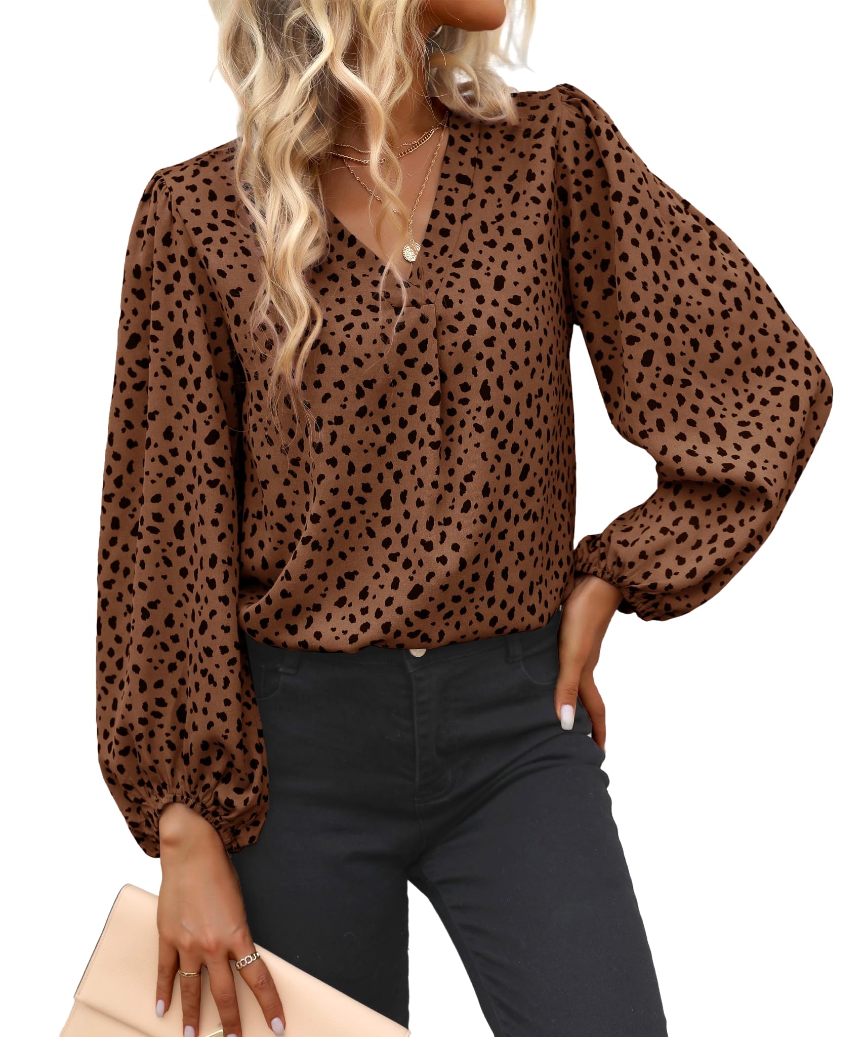 EGRETLAC Long Sleeve Blouses for Women, Leopard Print Chiffon Tops V Neck Loose Business Shirts Casual Work Tunic