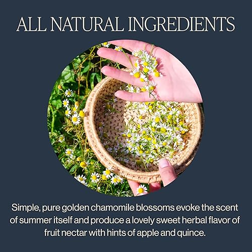 Vista 65 de Rishi Tea Mystic Mint - Té de hierbas orgánico, sin cafeína, hojas sueltas, mezcla de menta calmante – 16 onzas, más de 55 porciones