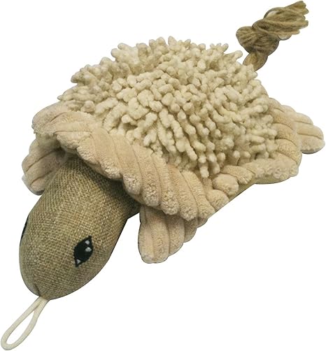 dog turtle toy