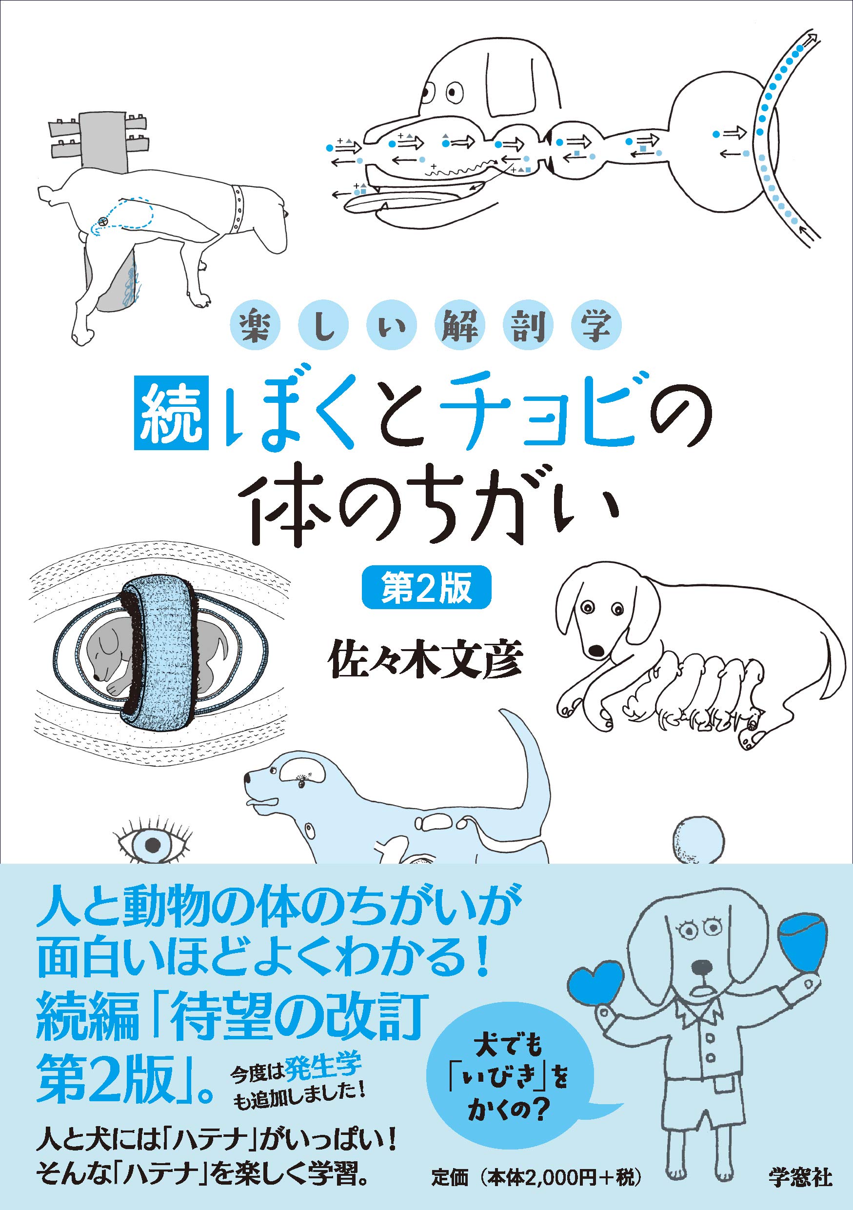 楽しい解剖学 続・ぼくとチョビの体のちがい 第2版 | 佐々木文彦 |本