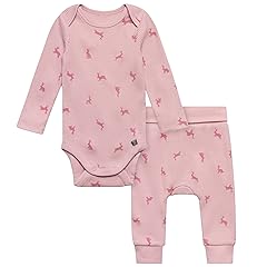 Baby Long Sleeve Bodysuit and Pant Set