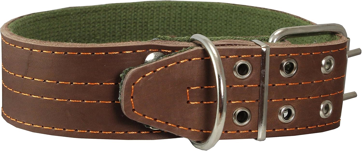 Genuine Leather Dog Collar, Padded, Brown 1.75" Wide. Fits 23"-27" Neck Size Great Dane Newfoundland