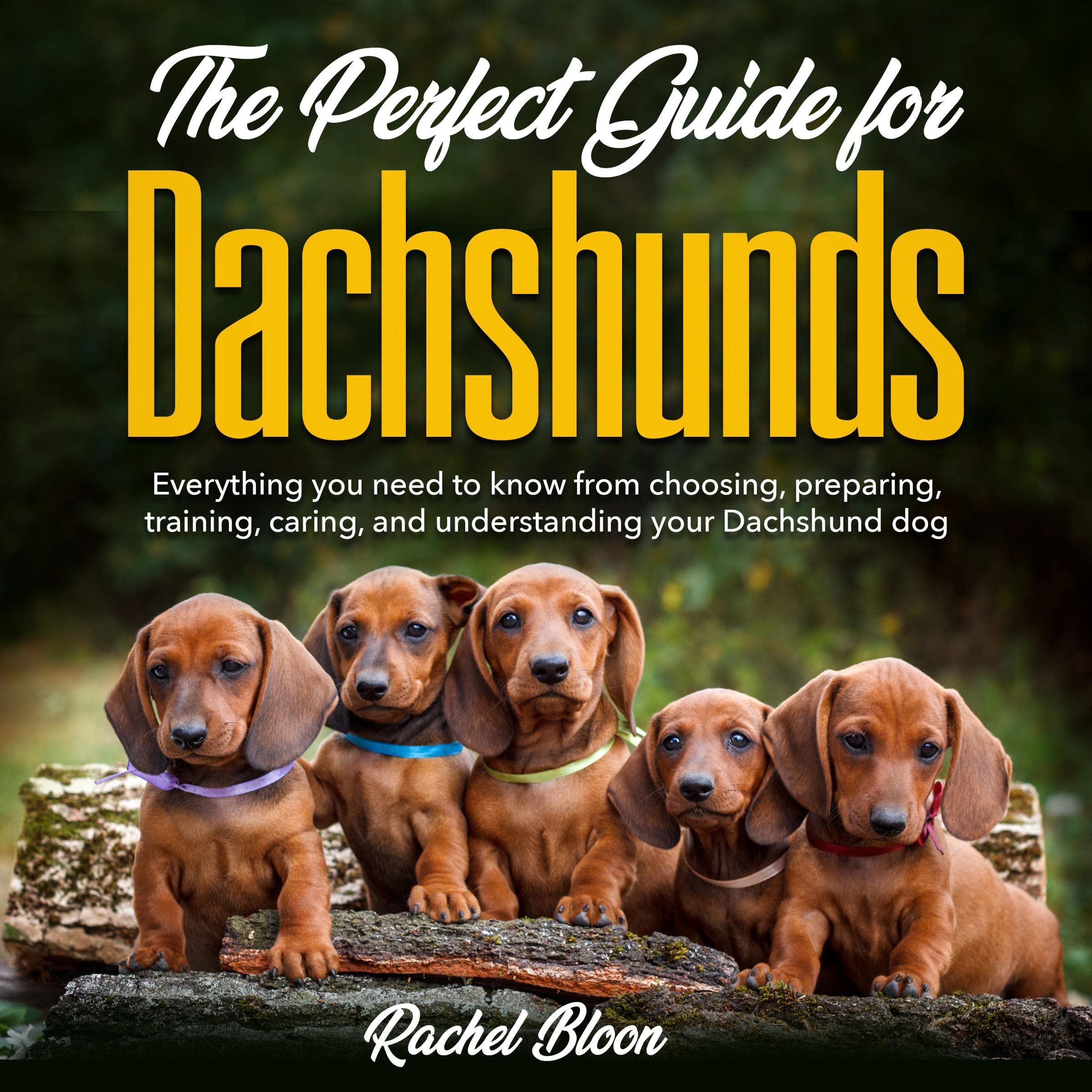 The Perfect Guide for Dachshunds