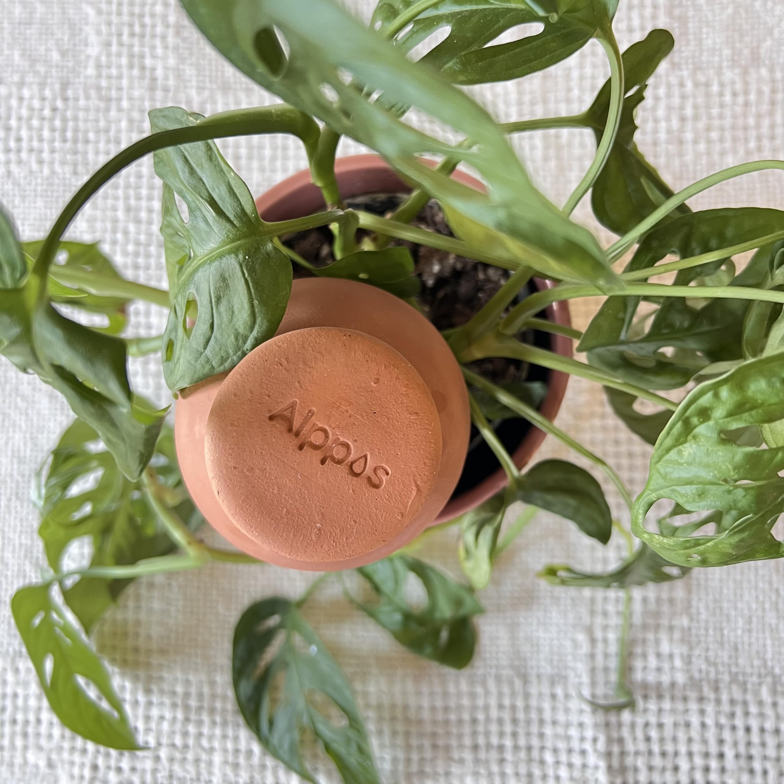3 Oyas à Planter 400 ML en Terre Cuite avec Couvercle – Ideale pour Petit Pot - Arrosage Automatique Écologique pour Plantes d’Intérieur et d’Extérieur – Autonomie Jusqu’à 1 Semaine-