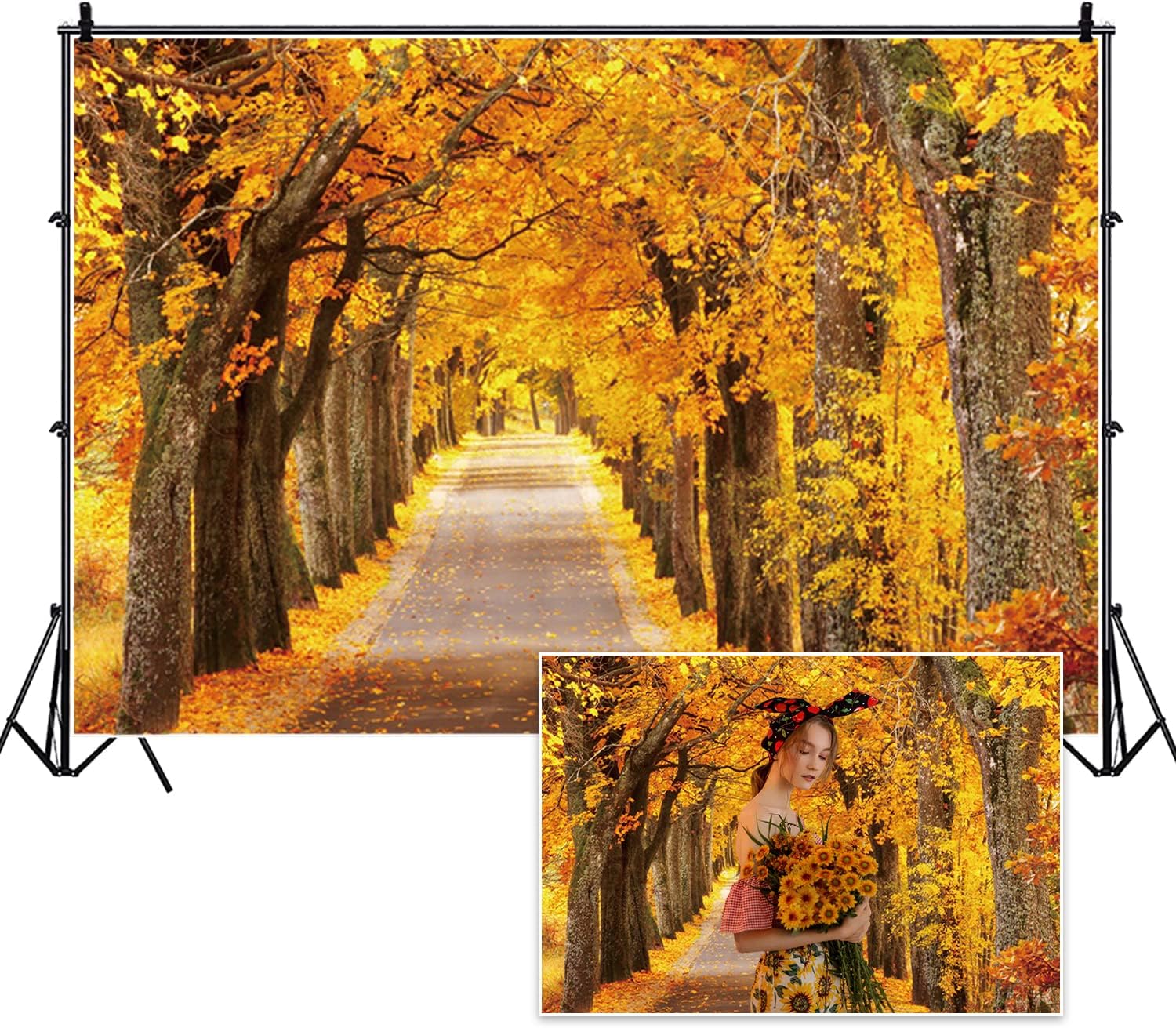 Amazon.com : DORCEV 8x6ft Fall Scenery Photography Background Autumn ...