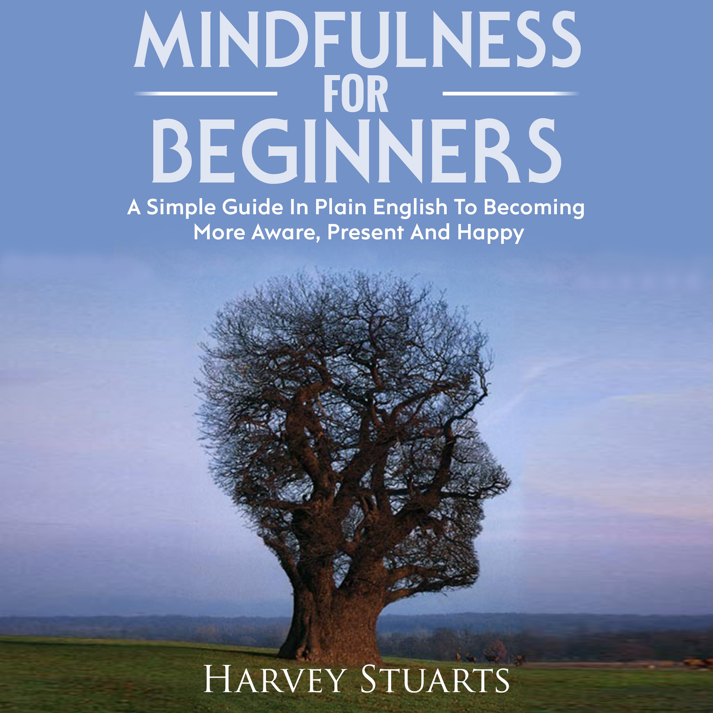 Mindfulness for Beginners: A Simple Guide in Plain English to Becoming More Aware, Present, and Happy