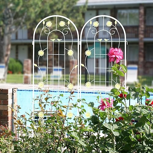 Miniatura 3 de Paquete de 2 enrejados de jardín de metal de 71 x 19.7 pulgadas, romántica francesa, a prueba de óxido, soporte de flores vegetales, enrejado de