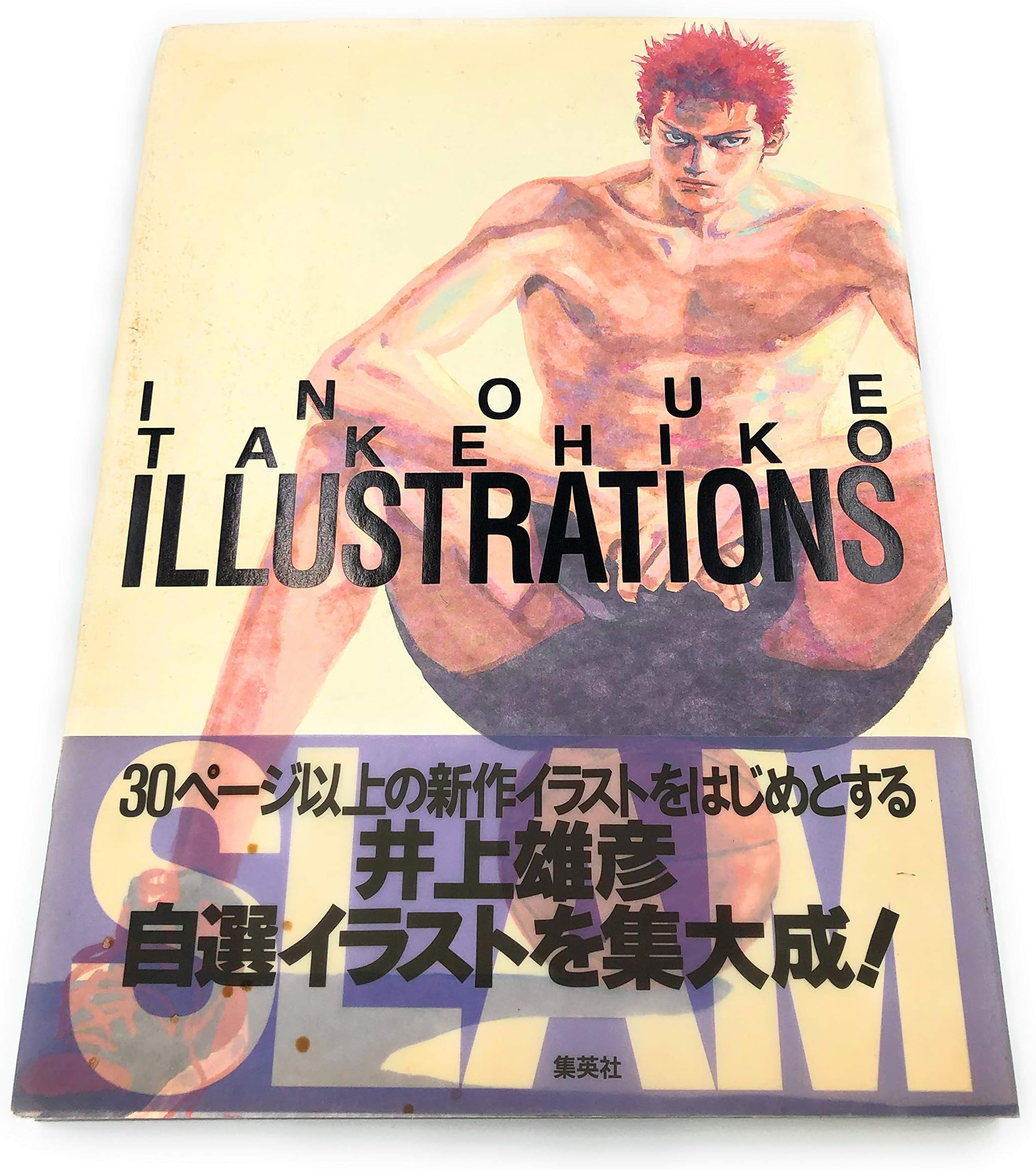 Inoue Takehiko Illustrations