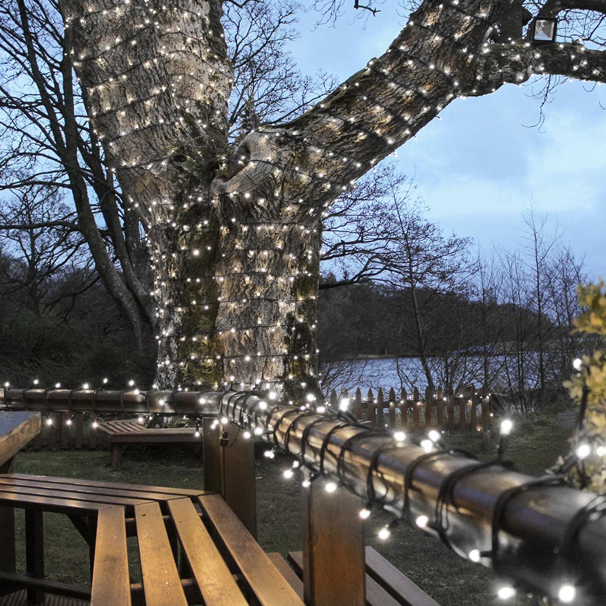 Festive Lights - ConnectPro Outdoor LED Fairy Lights - Connectable IP65 Rubber Black Cable | Wedding, Christmas, Garden, Commercial - No Plug (100m, White)