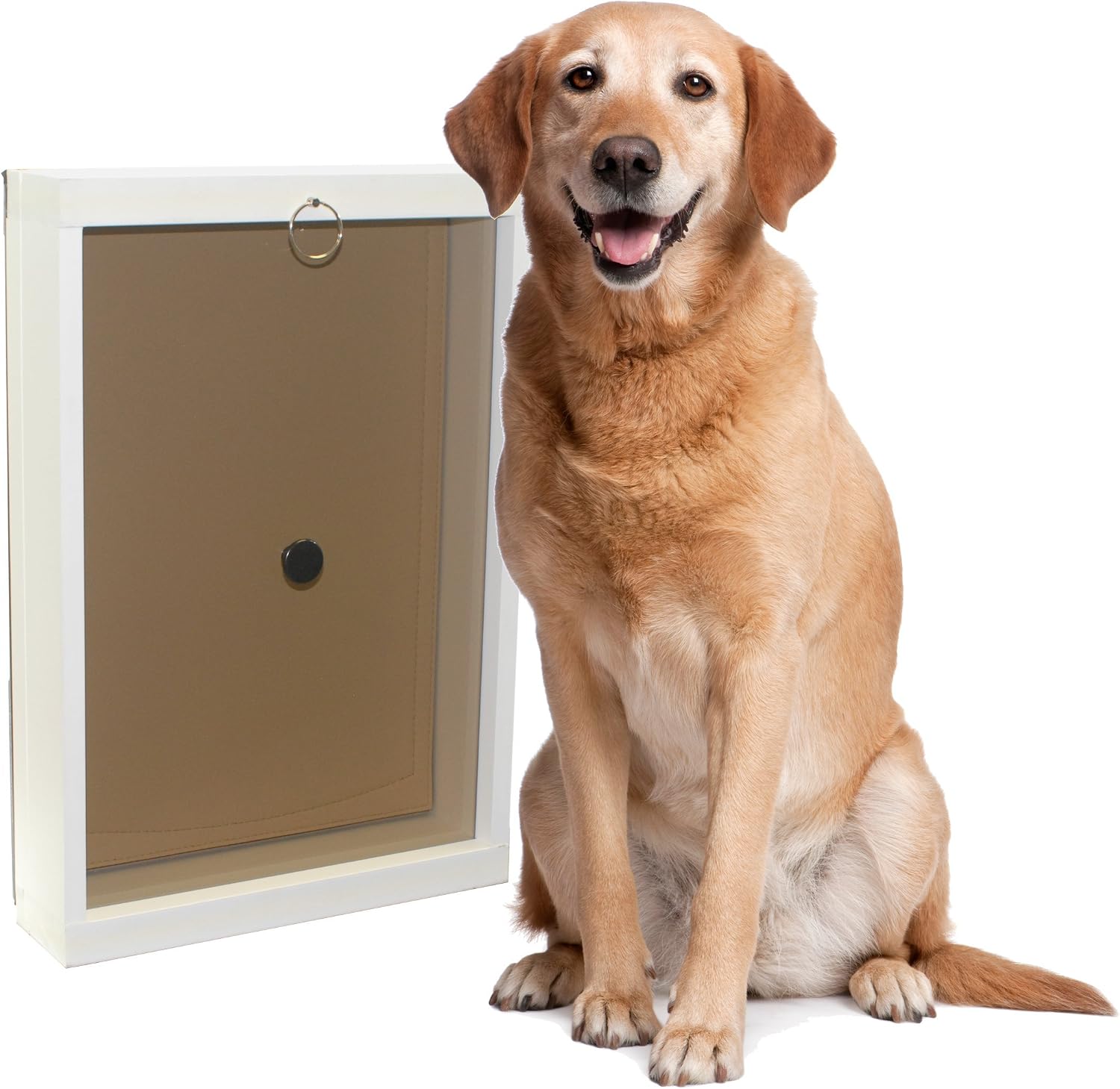 Ranger by Freedom Pet Pass Insulated Dog Door for Walls - L