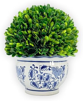 Galt International 9.5" Naturally Preserved Real Boxwood Ball in Hand-Painted Round Bulb Blue & White China Pot Planter Green Indoor Plant Home Decor 9.5" Tall Topiary