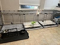 Review Image by Sandra M Sandra M