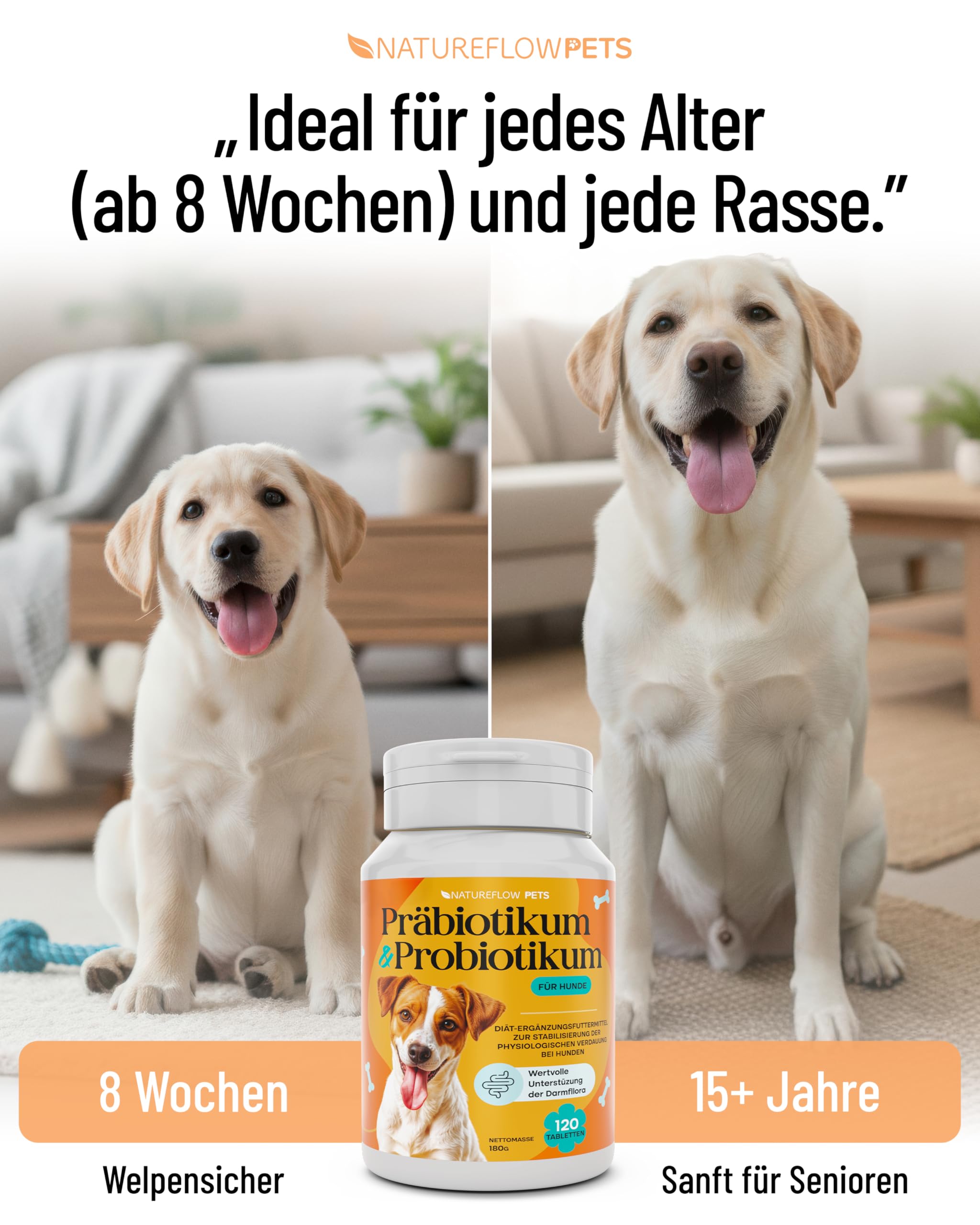 Natureflow Pets - Probiotika Hund - Darmkur bei Durchfall, Blähungen & Sodbrennen - Darmflora aufbauen & Magen-Darm stärken Präbiotika für Hunde - Magenschutz & Darmwohl mit Präbiotikum