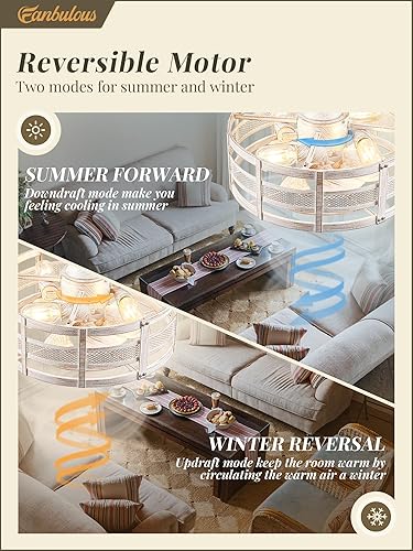 Miniatura 4 de Ventiladores de techo enjaulados de 16 pulgadas con luces y control remoto, ventilador de techo sin aspas con 6 velocidades y temporizador, luces de