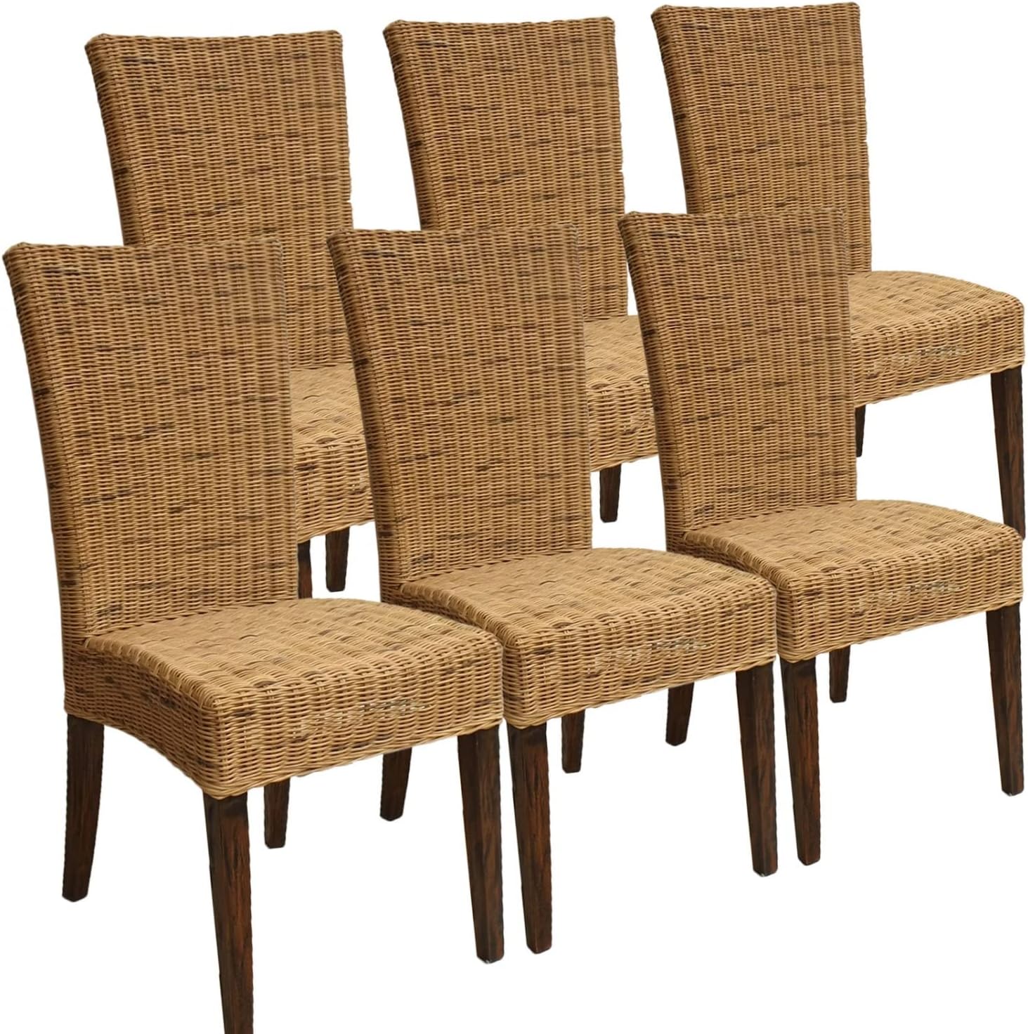 Esszimmer Stühle Set 6 Stück Rattanstühle Wintergarten Korbstühle