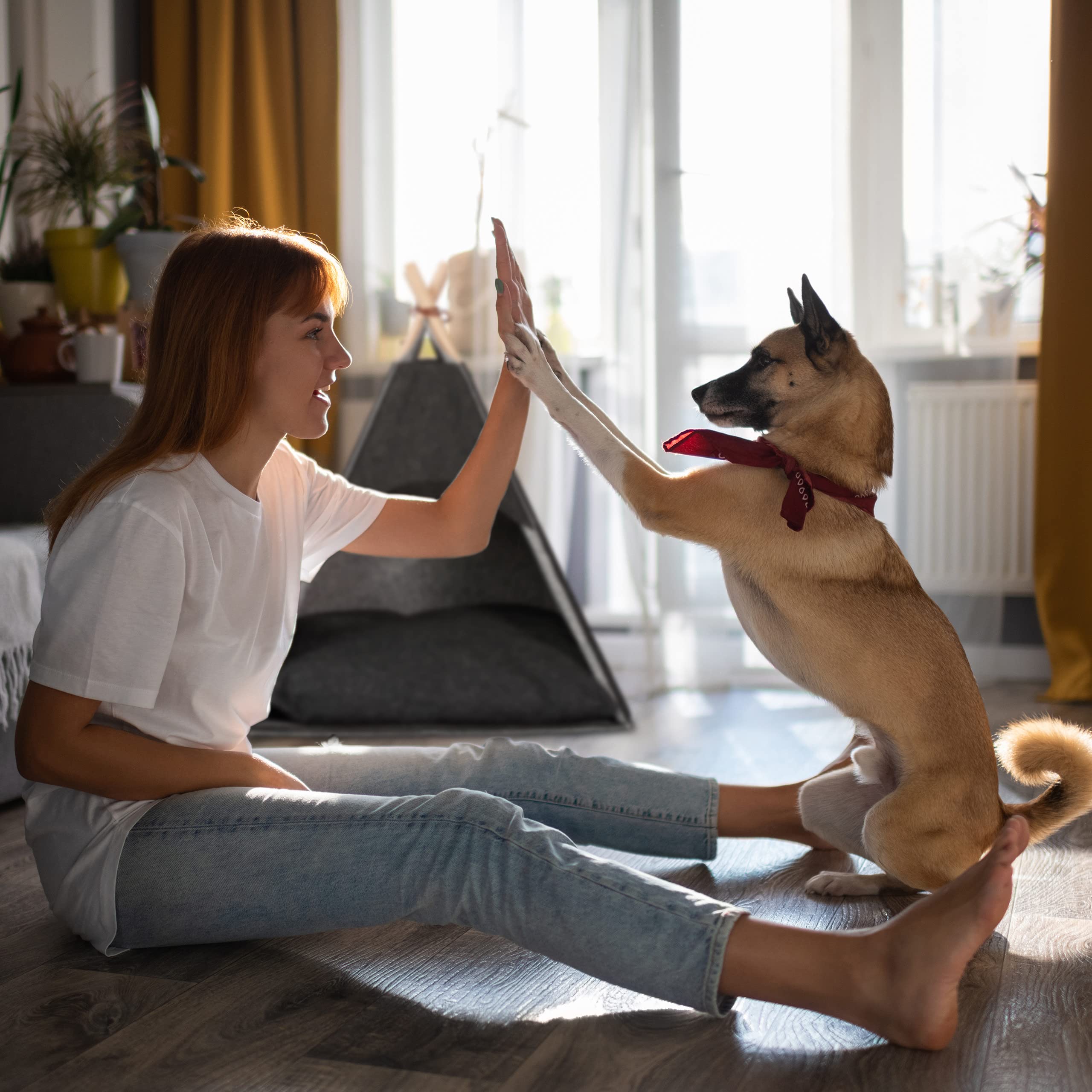 Relaxdays Tente pour Petits Chiens, Grand tipi pour Chats, Feutre et Bois, avec Coussin, 70,5 x 59,5 x 59 cm, Gris foncé